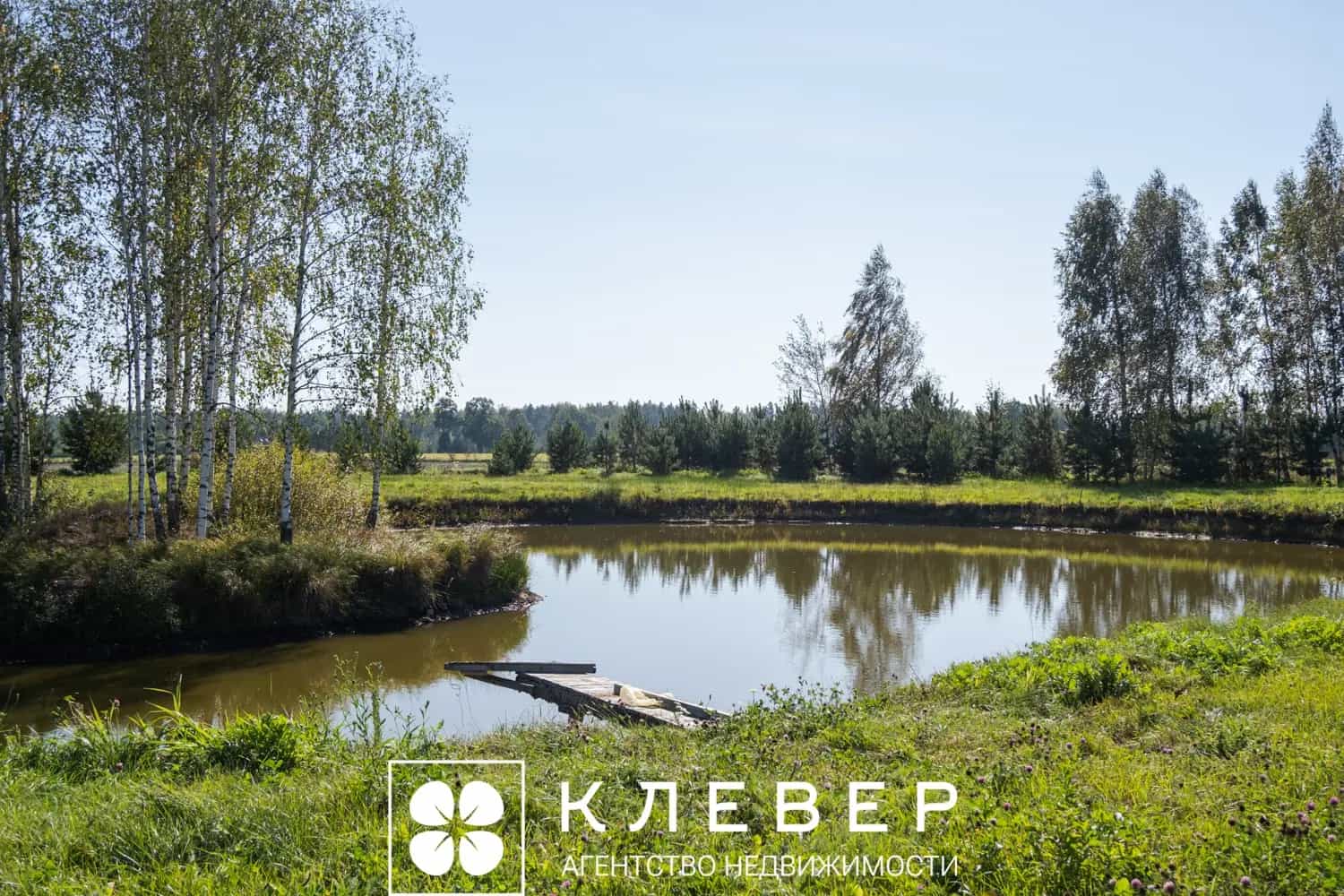 Беларусь, Минская область, Дзержинский район, Боровской сельсовет, деревня Бакиново, Новая улица, 2, фото 22