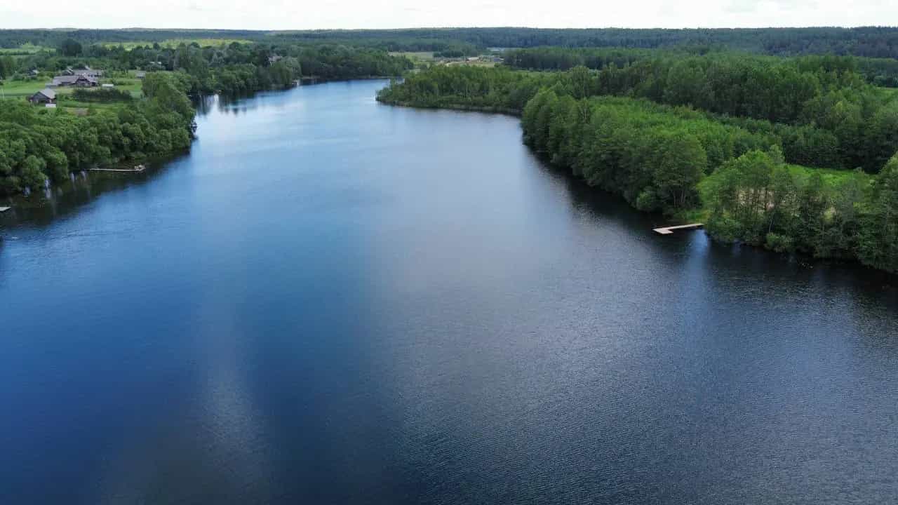 Беларусь, Витебская область, Лепельский район, Стайский сельсовет, деревня Кривцы, 7, фото 5