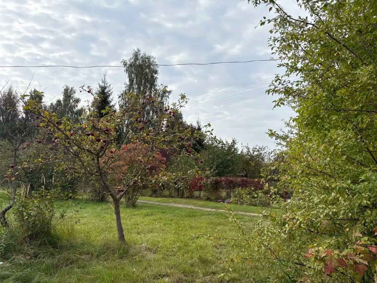Беларусь, Минская область, Смолевичский район, Заболотский сельсовет, садоводческое товарищество Амкодор-1, 105, фото 5