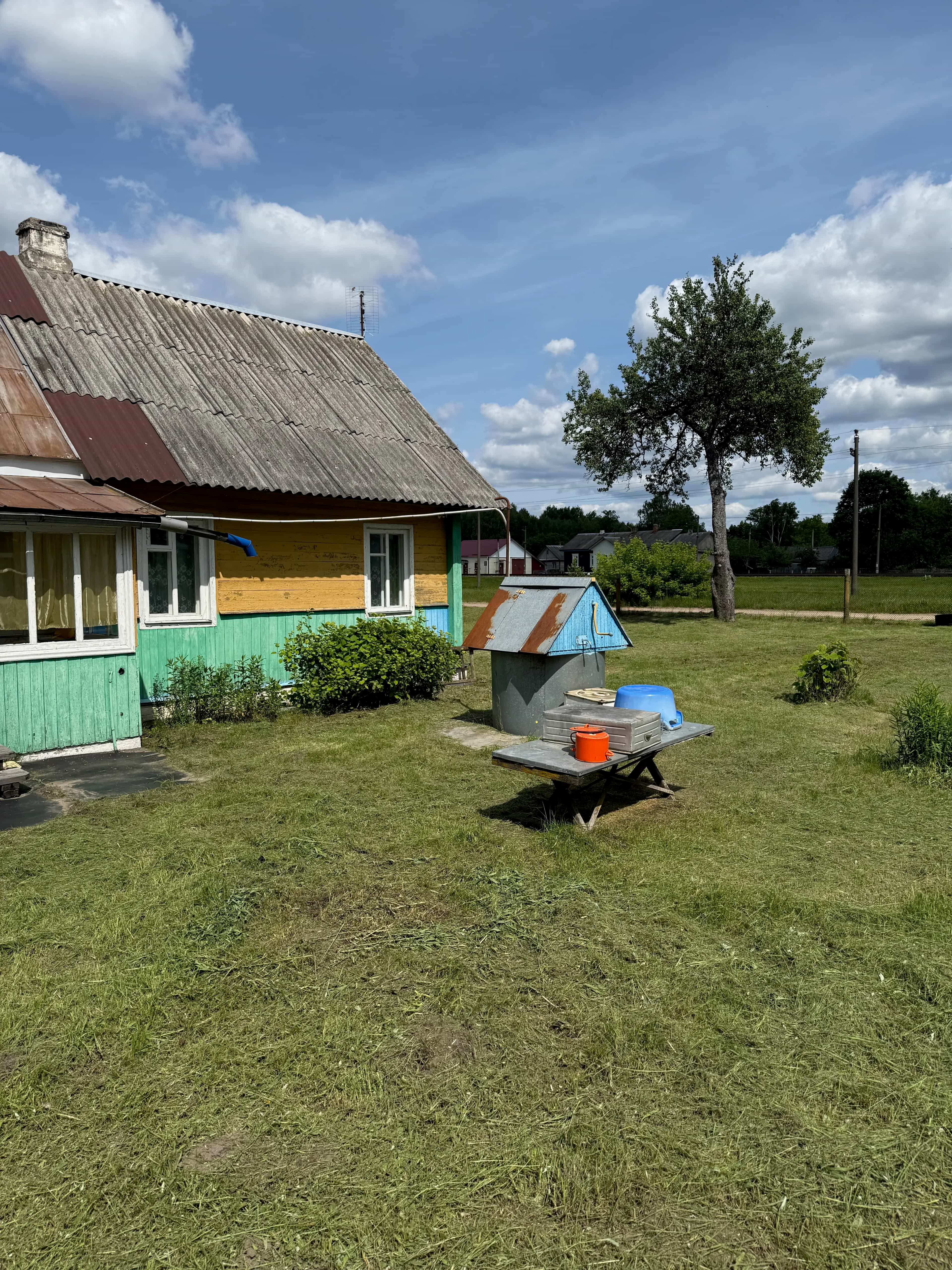 Беларусь, Могилёвская область, Осиповичский район, агрогородок Дараганово, Привокзальная улица, 9, фото 8