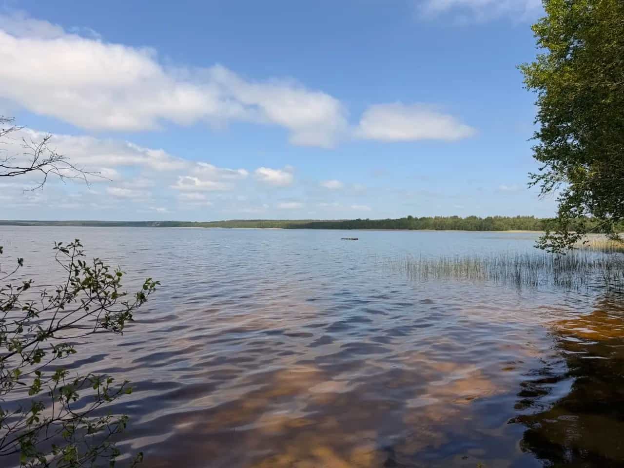 Беларусь, Витебская область, Лепельский район, Стайский сельсовет, деревня Оконо, Савецкая вуліца, 5, фото 17