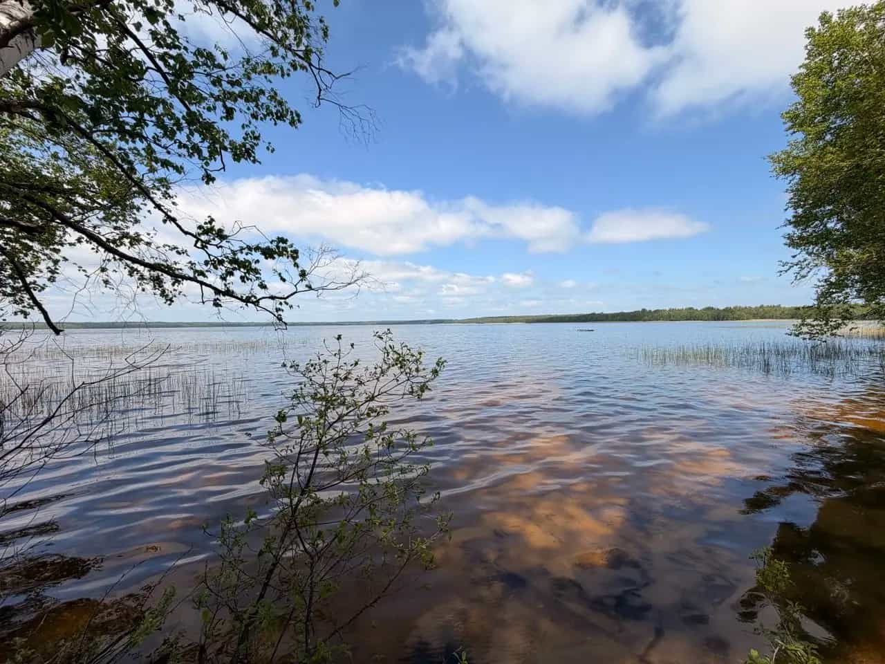Беларусь, Витебская область, Лепельский район, Стайский сельсовет, деревня Оконо, Савецкая вуліца, 5, фото 18