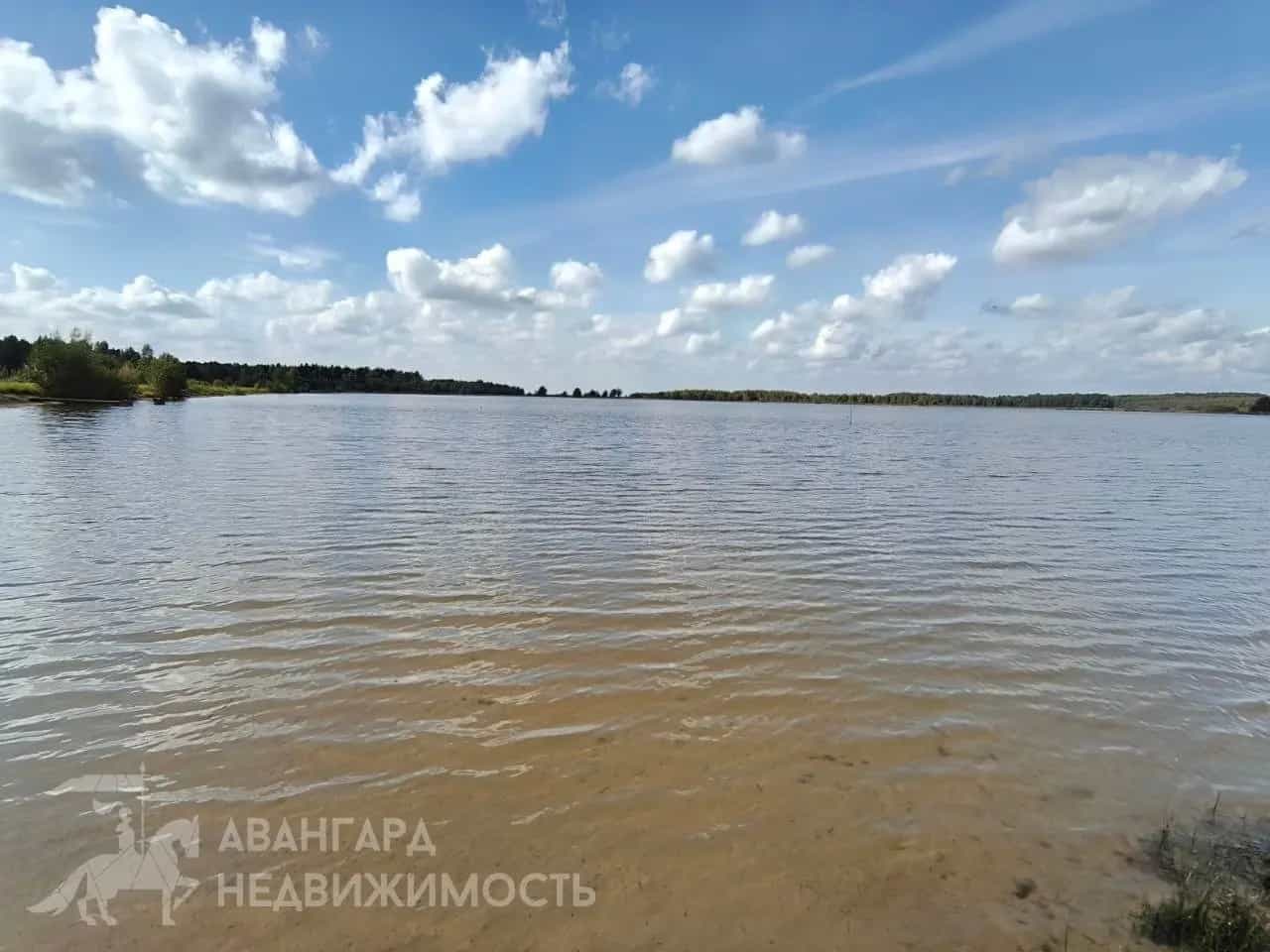 Беларусь, Минская область, Столбцовский район, Шашковский сельсовет, деревня Старина, Центральная улица, 31, фото 9