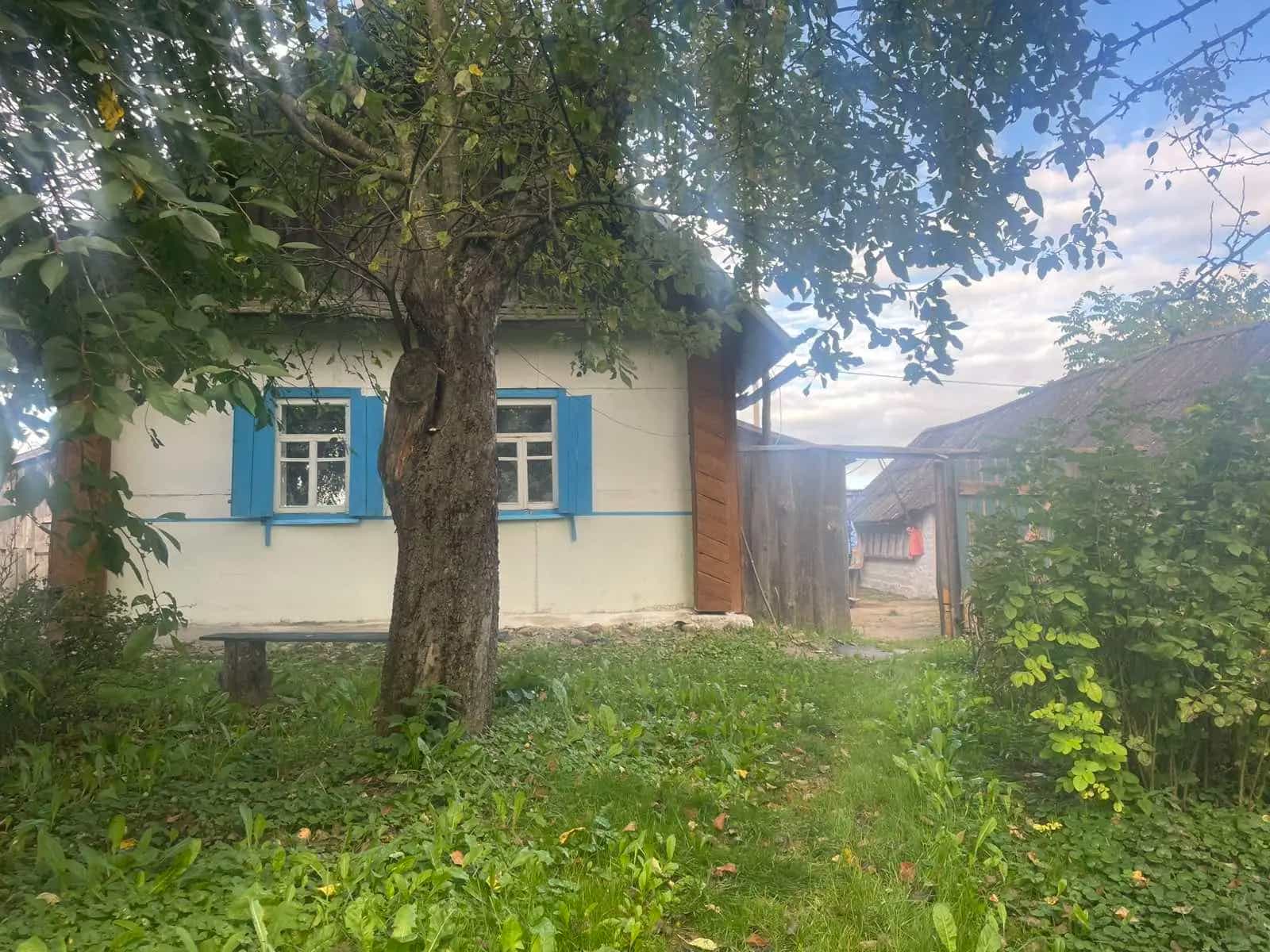 Беларусь, Витебская область, Оршанский район, агрогородок Крапивно, Горная улица, 11, фото 2