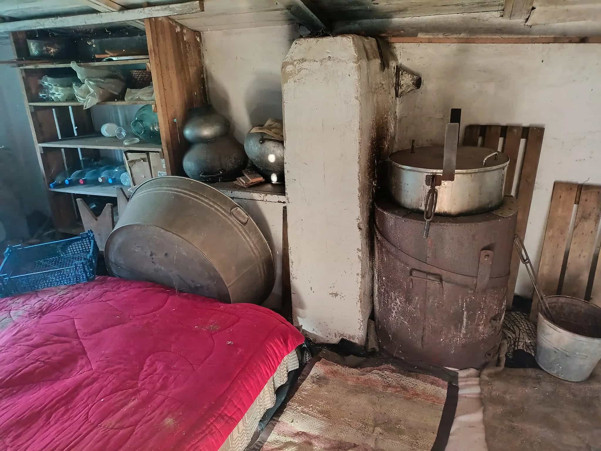 Беларусь, Брестская область, Пружанский район, Хоревской сельсовет, деревня Вощиничи, Новая улица, 30, фото 12