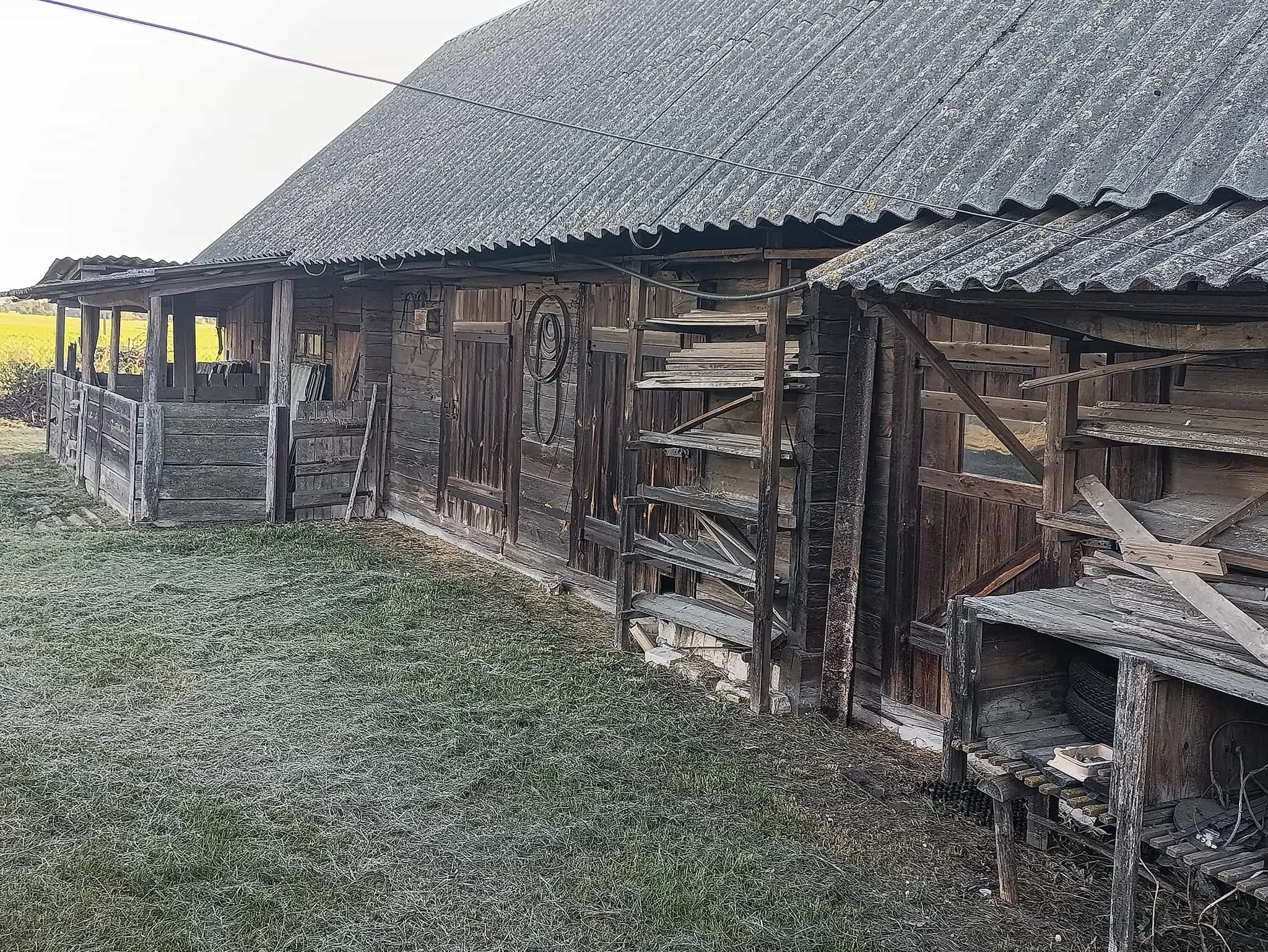 Беларусь, Брестская область, Пружанский район, Хоревской сельсовет, деревня Вощиничи, Новая улица, 30, фото 16