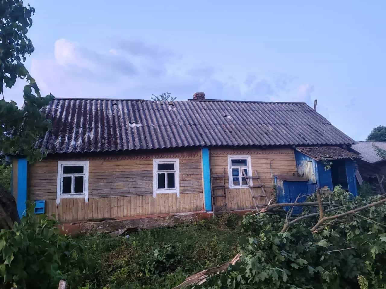 Беларусь, Минская область, Столбцовский район, Вишневецкий сельсовет, деревня Заречье, 38
