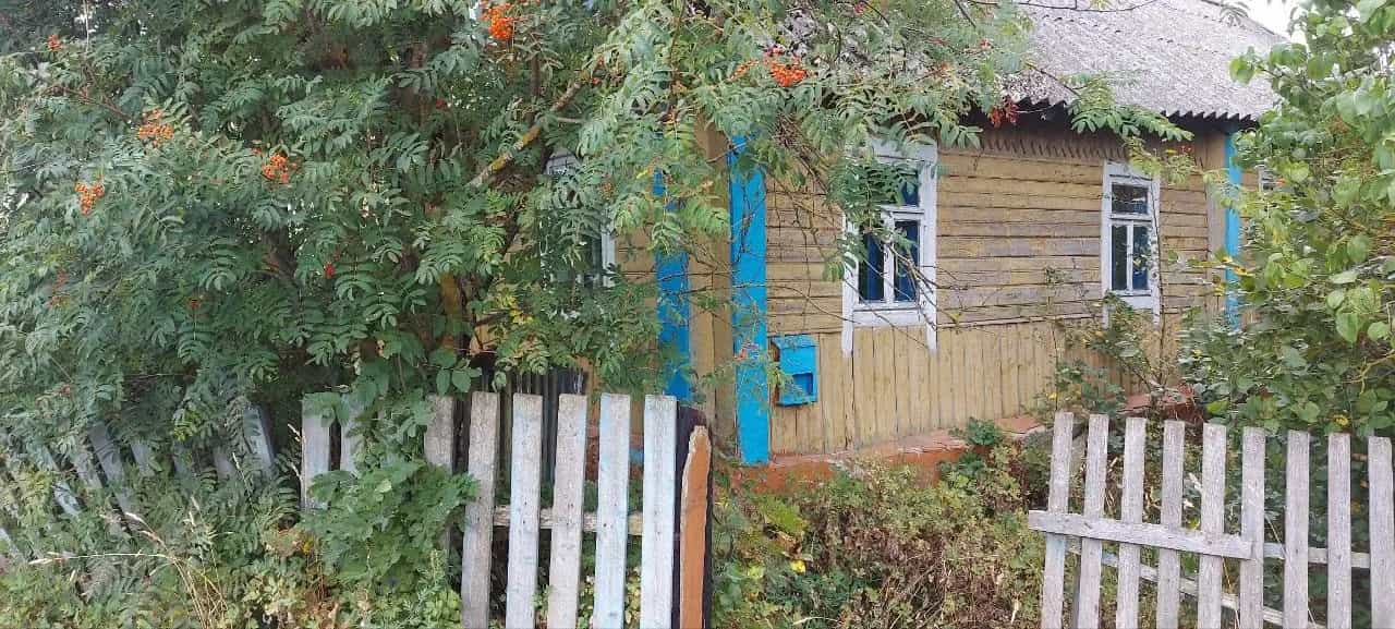 Беларусь, Минская область, Столбцовский район, Вишневецкий сельсовет, деревня Заречье, 38, фото 9