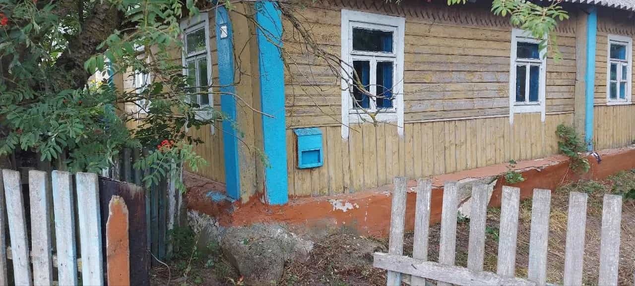 Беларусь, Минская область, Столбцовский район, Вишневецкий сельсовет, деревня Заречье, 38, фото 12
