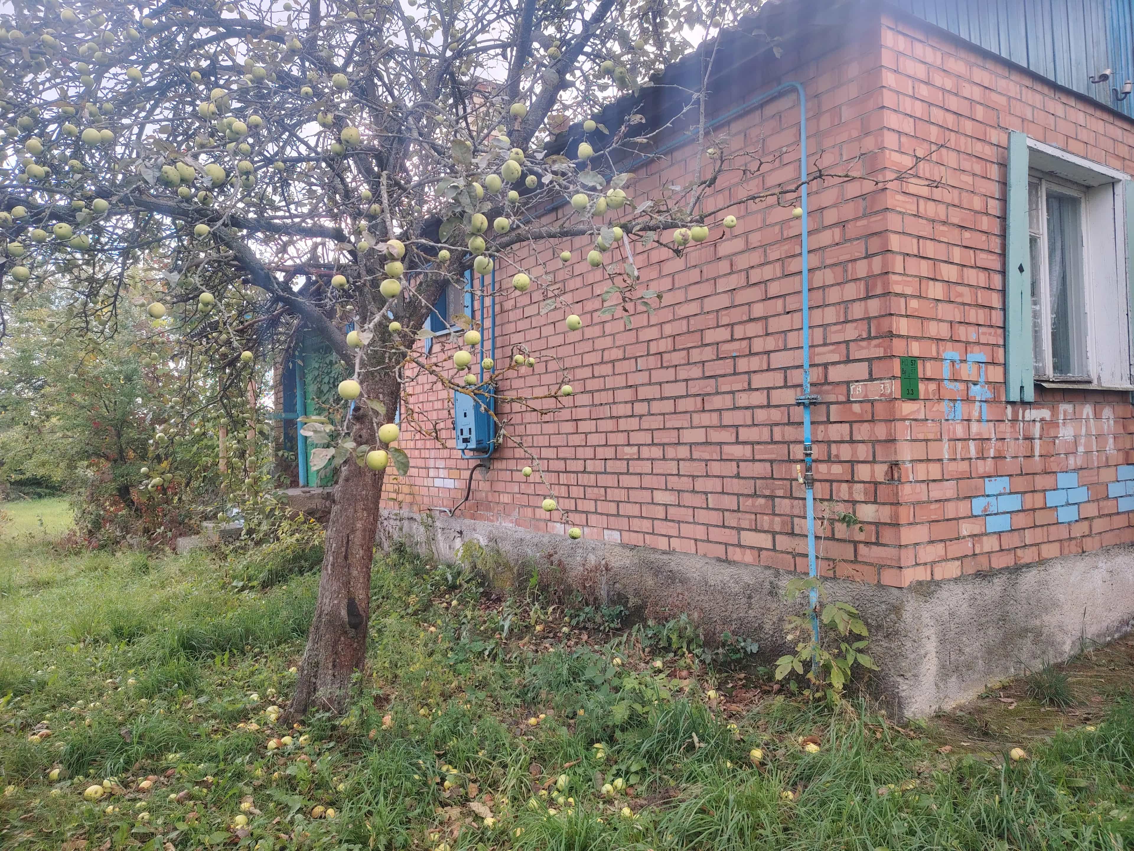 Беларусь, Гомельская область, Рогачёвский район, Запольский сельсовет, деревня Стреньки, Строительная улица, 67, фото 6