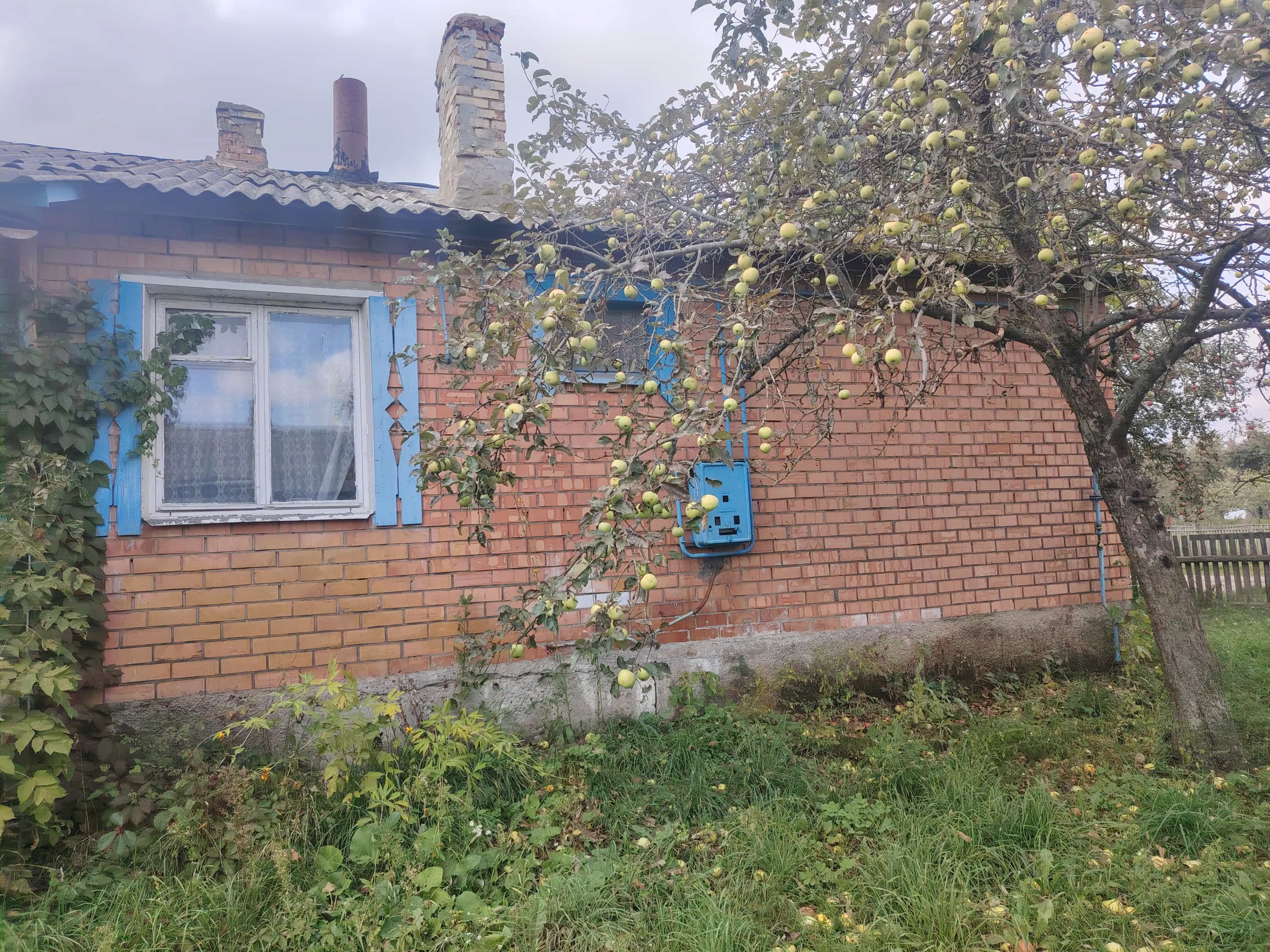Беларусь, Гомельская область, Рогачёвский район, Запольский сельсовет, деревня Стреньки, Строительная улица, 67, фото 7
