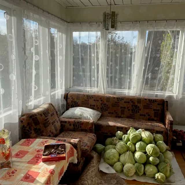 Беларусь, Витебская область, Дубровно, Пролетарская улица, 15, фото 13