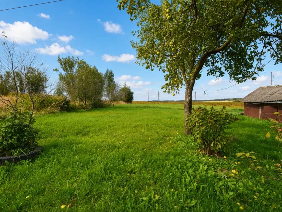 Беларусь, Минский район, Михановичский сельсовет, деревня Кайково, 2, фото 17