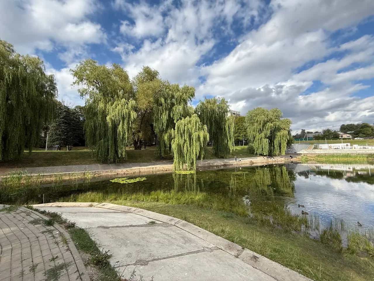 Беларусь, Минск, улица Болеслава Берута, 17к2, фото 22