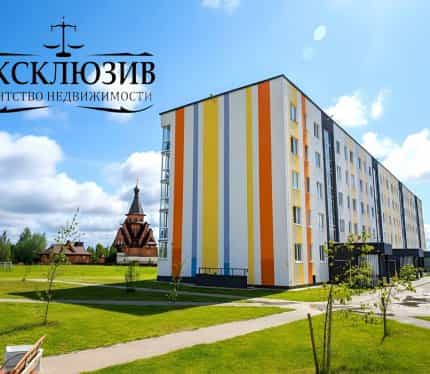 Беларусь, Минский район, Горанский сельсовет, агрогородок Новоселье, Рождественская улица, 2В, фото 37
