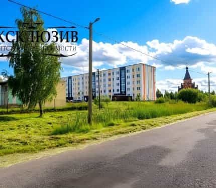 Беларусь, Минский район, Горанский сельсовет, агрогородок Новоселье, Рождественская улица, 2В, фото 41