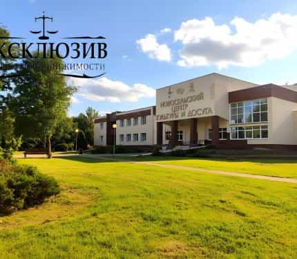 Беларусь, Минский район, Горанский сельсовет, агрогородок Новоселье, Рождественская улица, 2В, фото 42