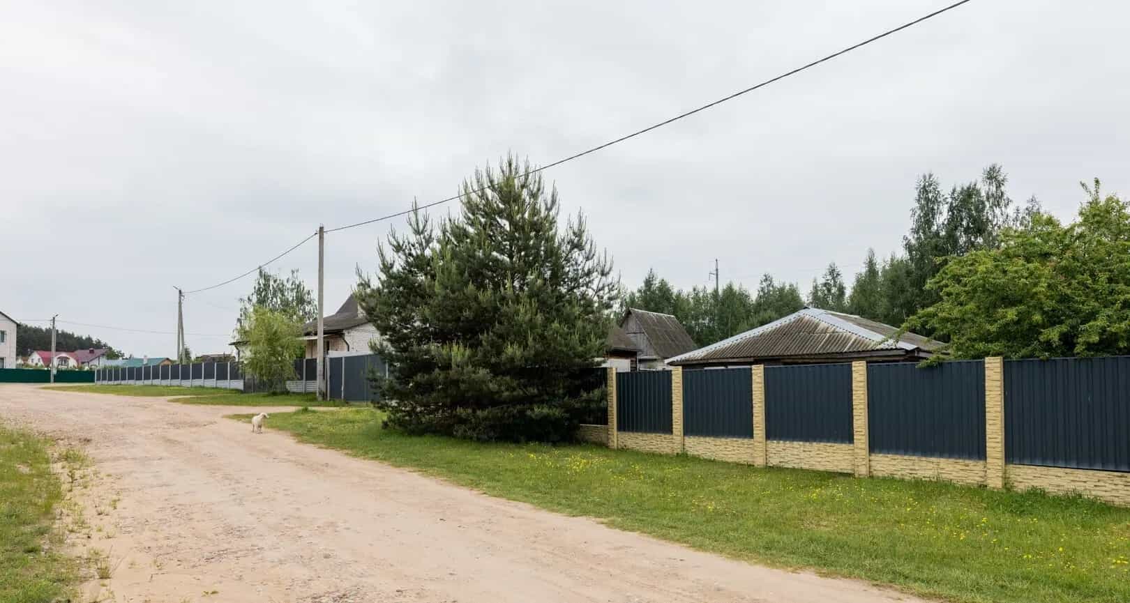 Беларусь, Минская область, Молодечненский район, городской посёлок Радошковичи, Лесная улица, 9, фото 14