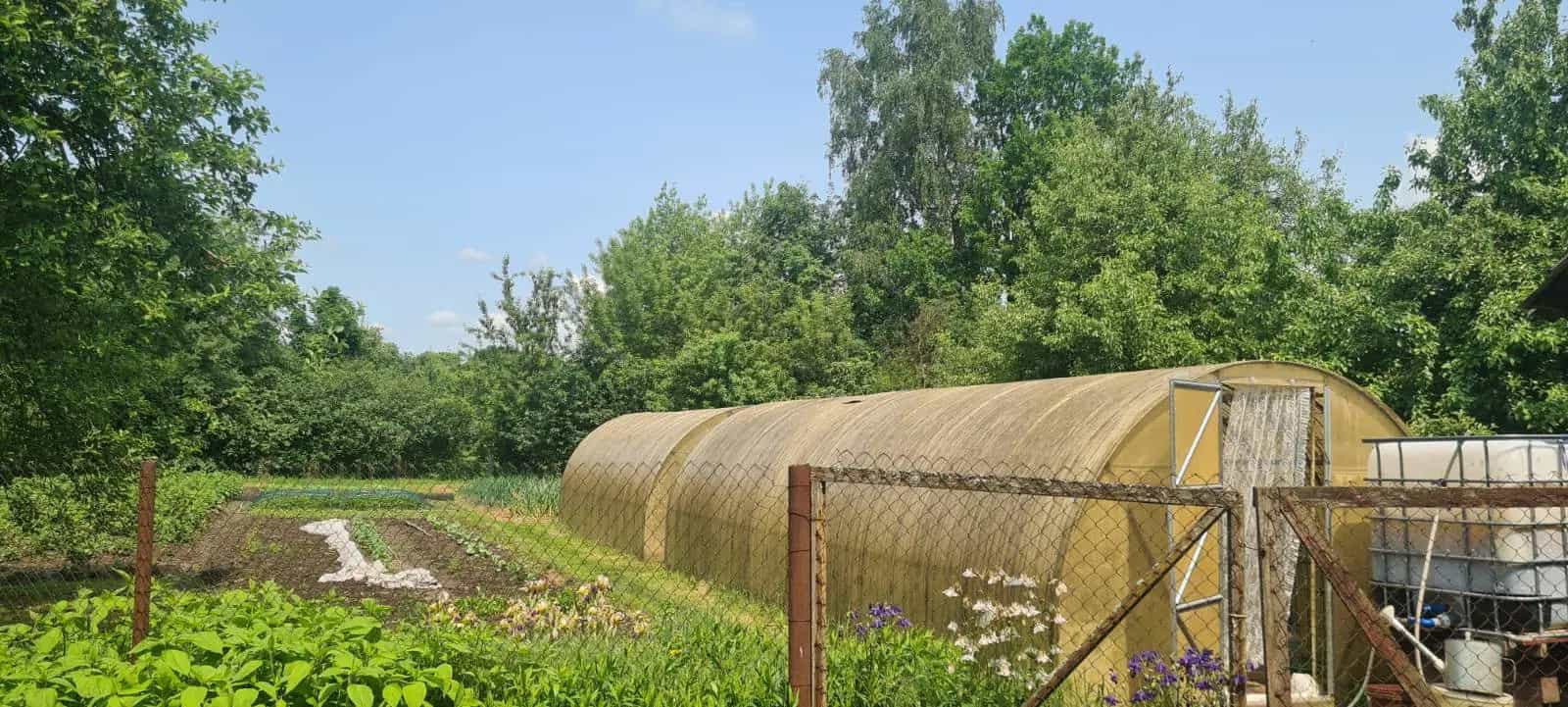 Беларусь, Минская область, Солигорский район, Чижевичский сельсовет, деревня Погост-1, Луговая улица, 2, фото 20