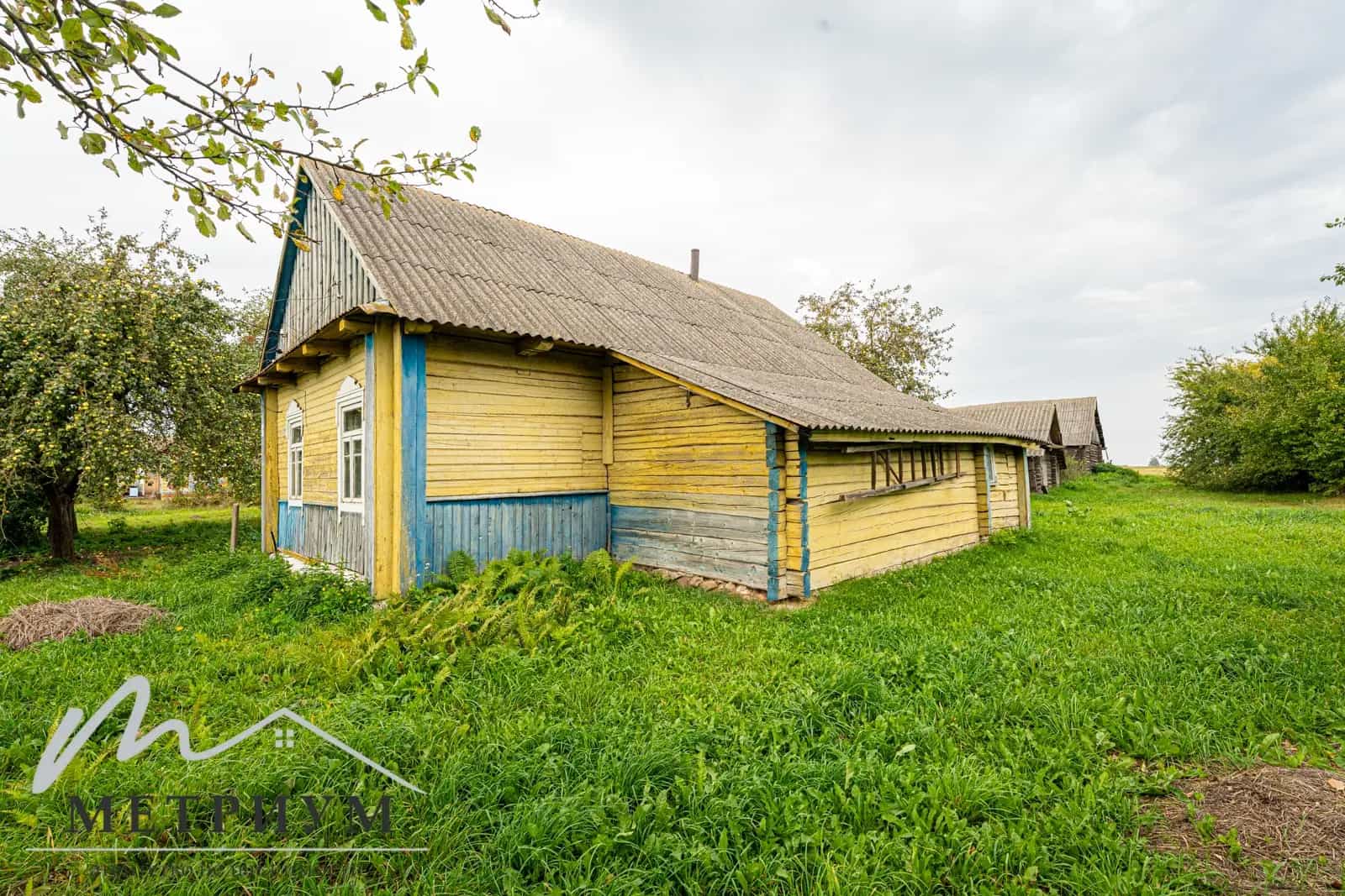 Беларусь, Минская область, Несвижский район, Сейловичский сельсовет, агрогородок Юшевичи, Садовая улица, 32, фото 3