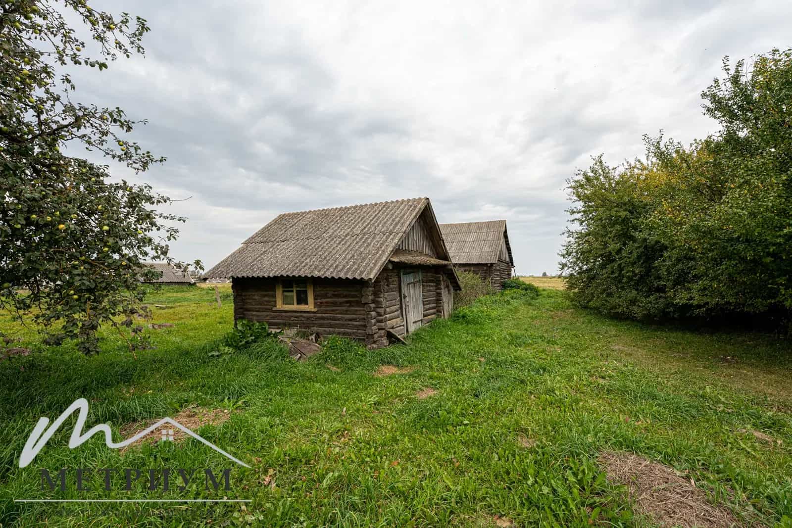 Беларусь, Минская область, Несвижский район, Сейловичский сельсовет, агрогородок Юшевичи, Садовая улица, 32, фото 21