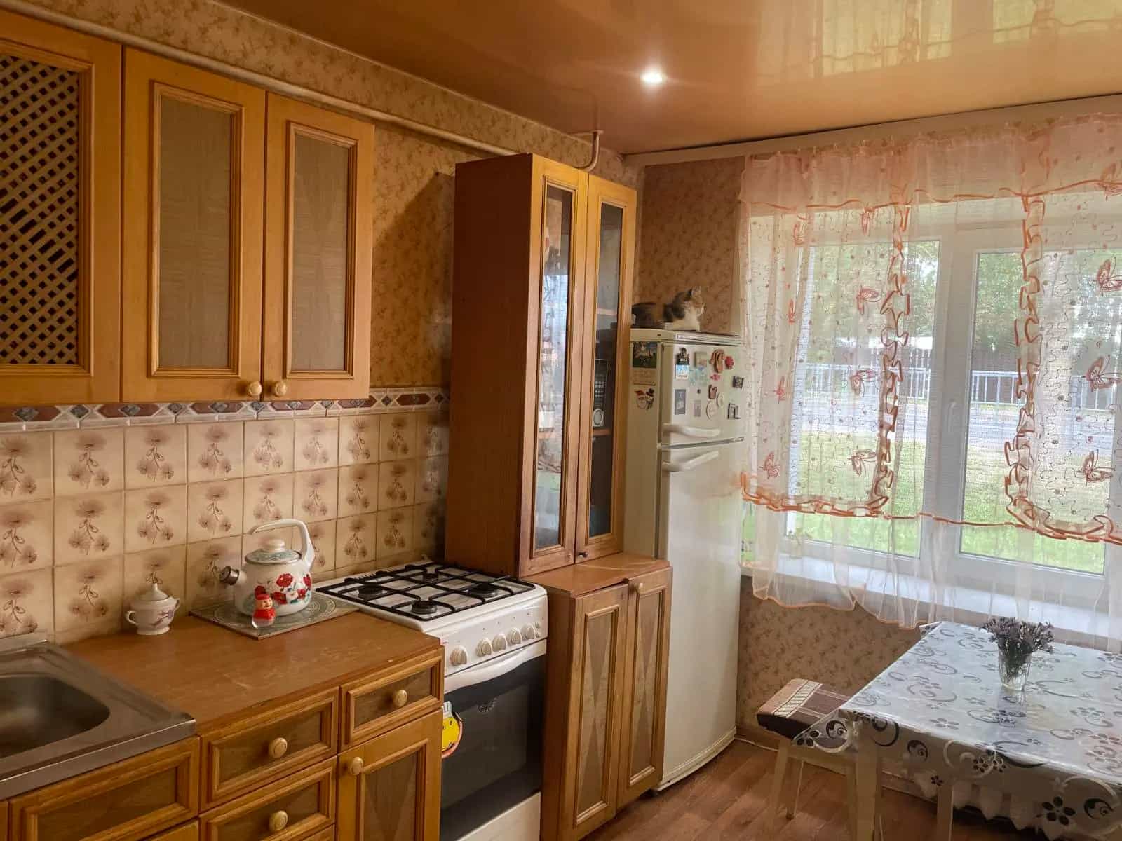 Беларусь, Минская область, Дзержинск, улица Протасова, 7, фото 2