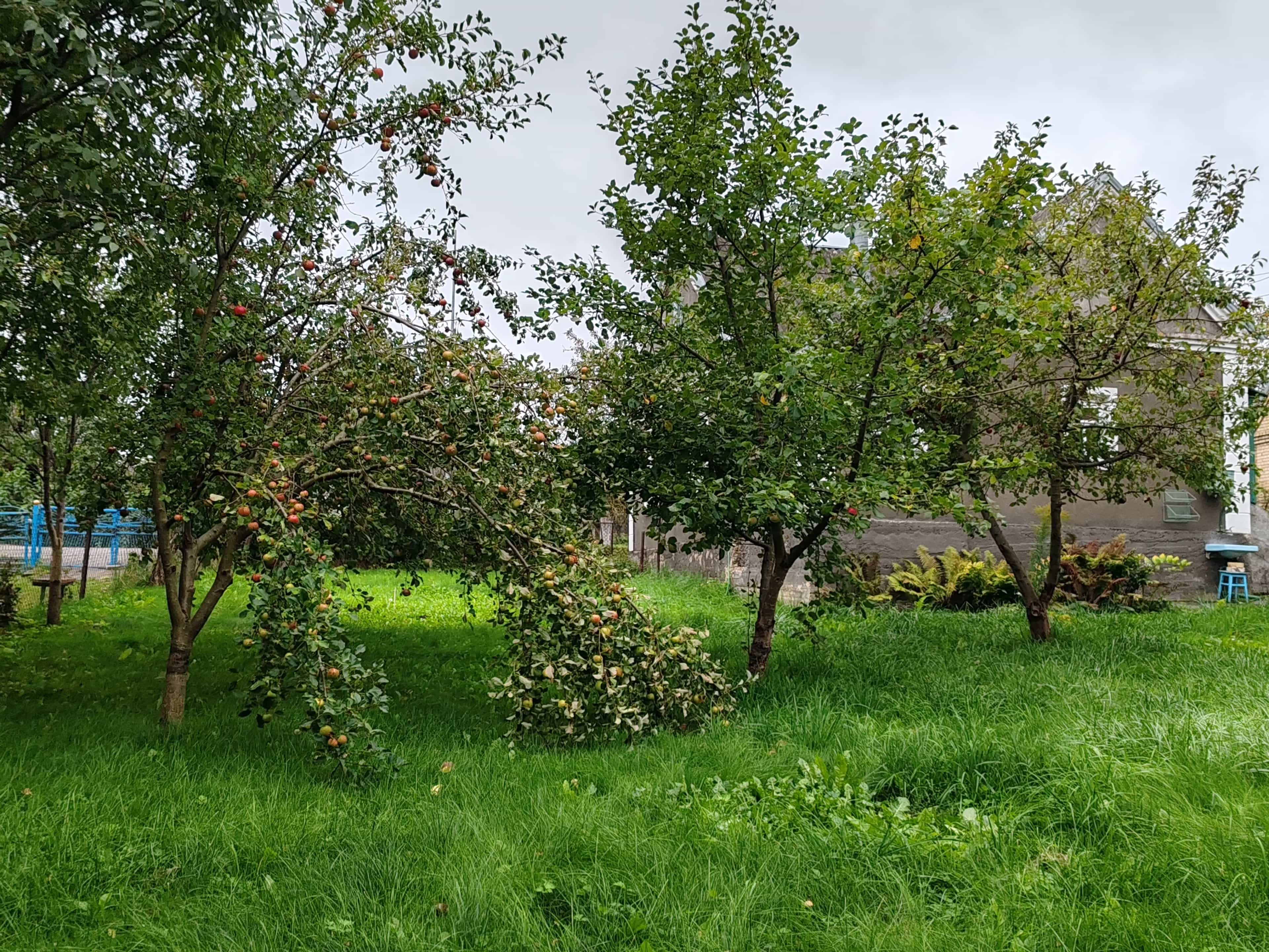 Беларусь, Гродненская область, Волковыск, улица Кутузова, 65, фото 10