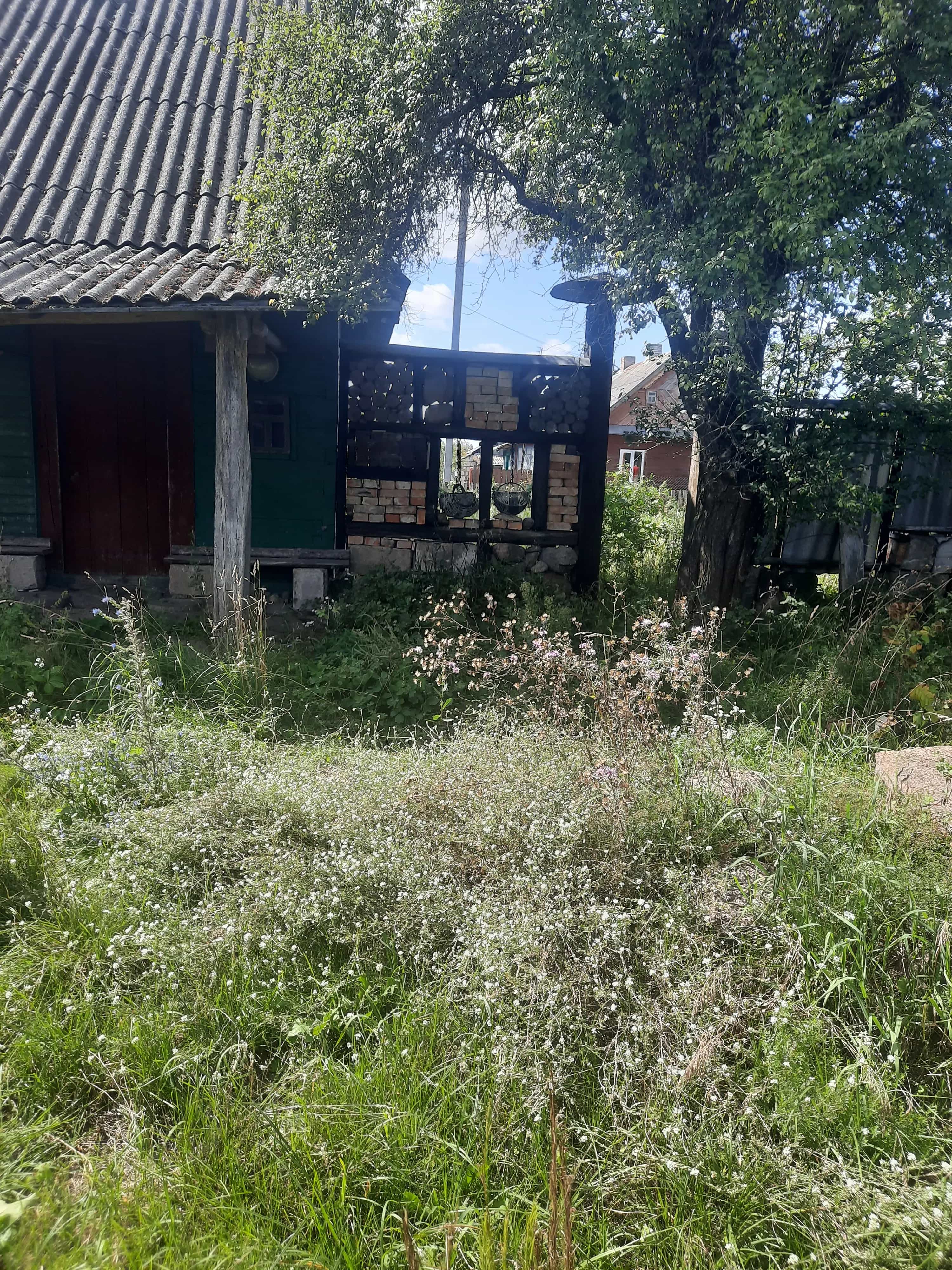 Беларусь, Брестская область, Каменецкий район, Речицкий сельсовет, деревня Дворцы, Советская улица, 42, фото 6