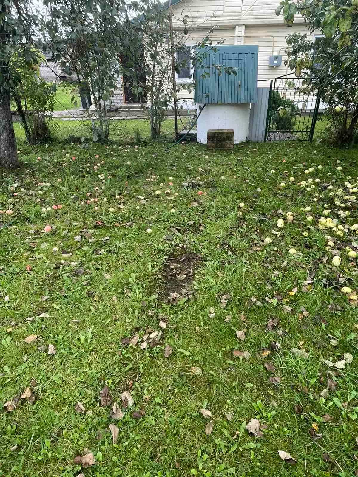 Беларусь, Гродненская область, Островец, Партизанская улица, 22, фото 11