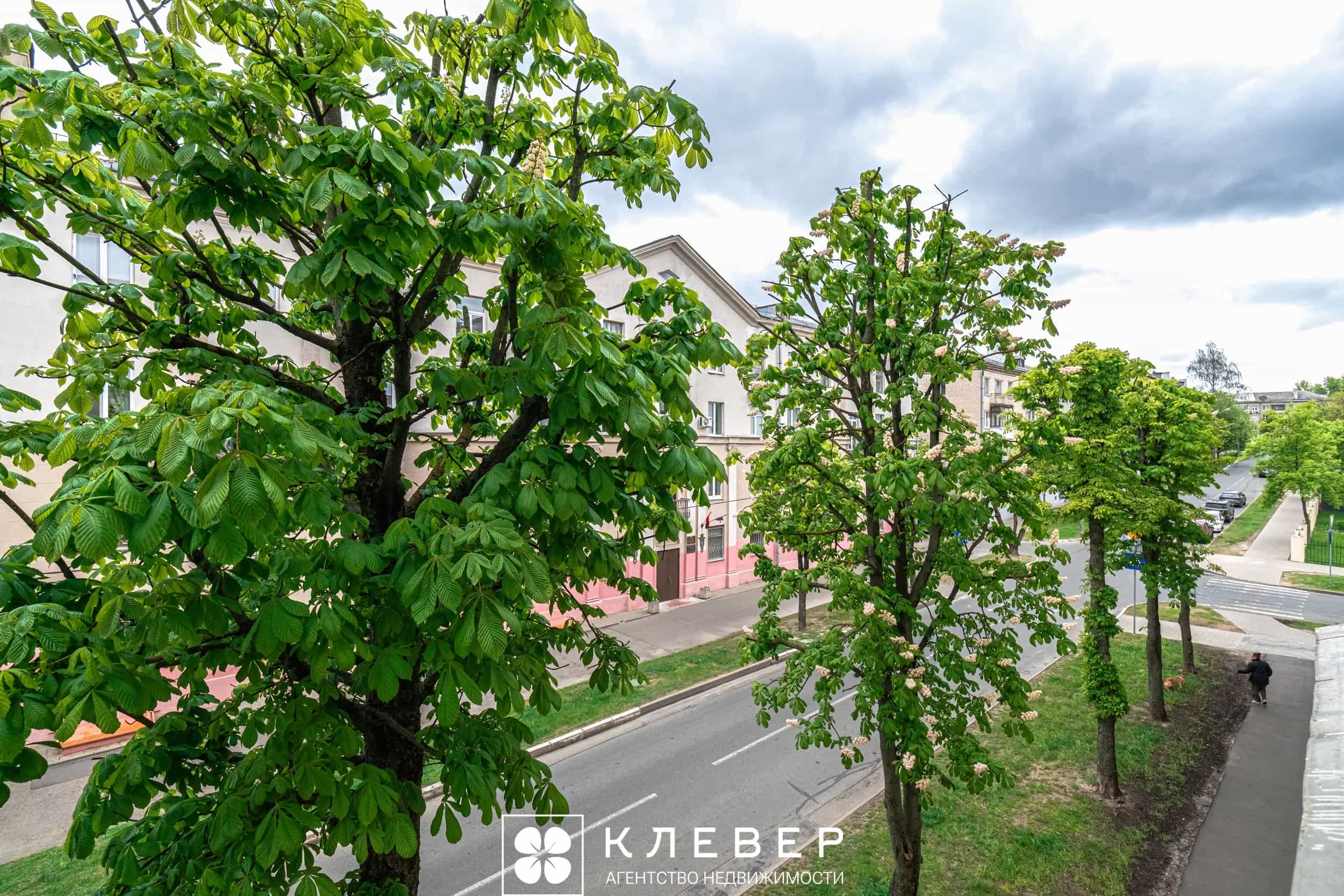 Беларусь, Минск, переулок Кузьмы Чорного, 4, фото 20