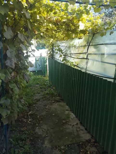 Беларусь, Витебская область, Оршанский район, городской посёлок Болбасово, Парковая улица, 302, фото 2