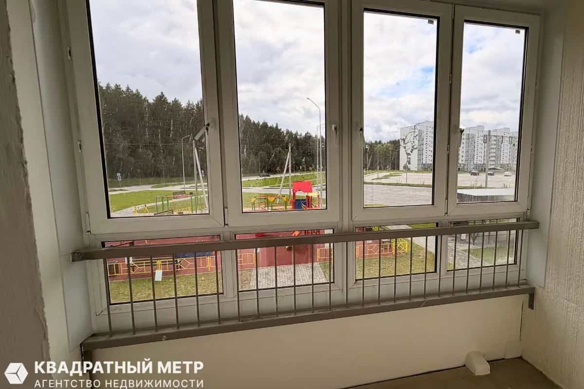 Беларусь, Минский район, деревня Боровляны, Васильковая улица, 10, фото 8