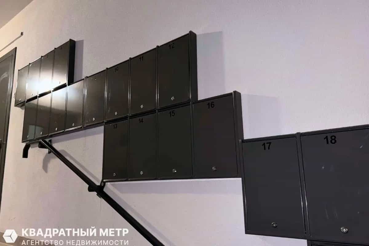 Беларусь, Минский район, деревня Боровляны, Васильковая улица, 10, фото 19