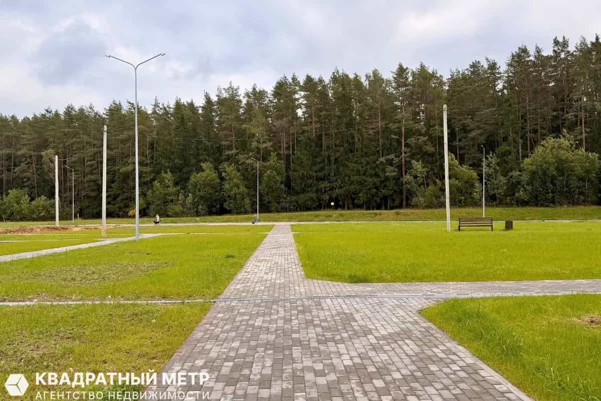 Беларусь, Минский район, деревня Боровляны, Васильковая улица, 10, фото 20
