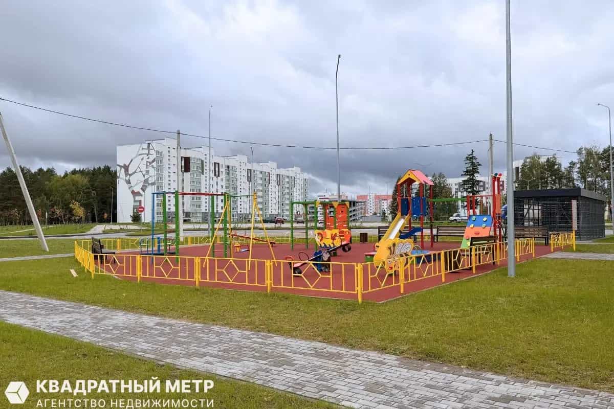 Беларусь, Минский район, деревня Боровляны, Васильковая улица, 10, фото 23