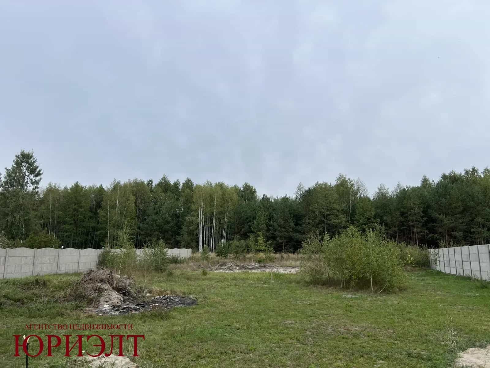 Беларусь, Брестский район, Радваничский сельсовет, агрогородок Большие Радваничи, Центральная улица, 109, фото 17