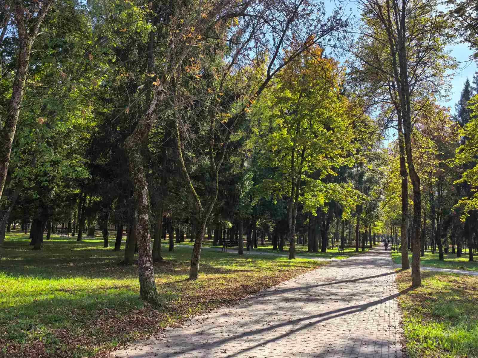 Беларусь, Минская область, Жодино, проспект Мира, 10, фото 11