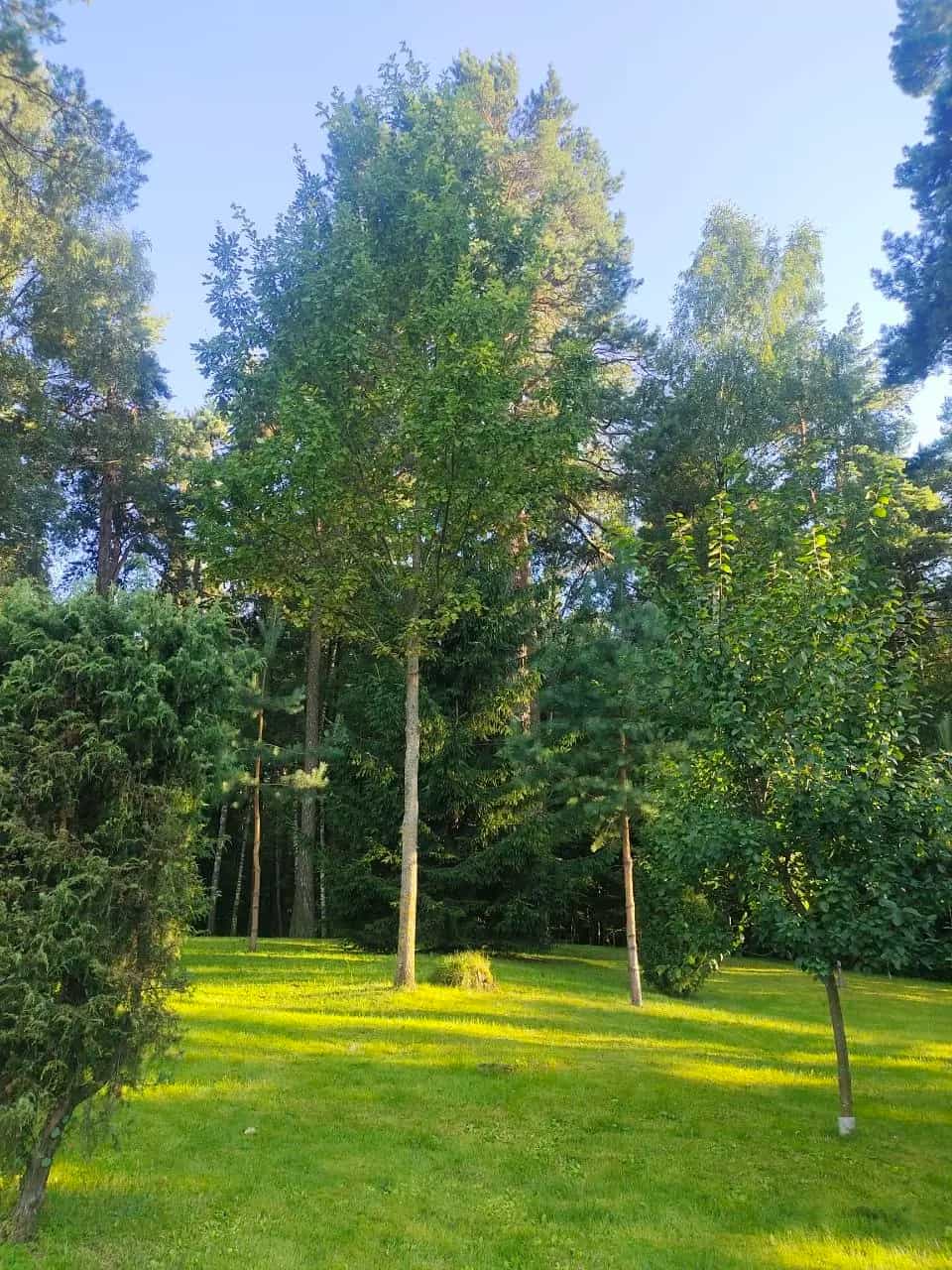 Беларусь, Минск, Тепличная улица, 1, фото 4