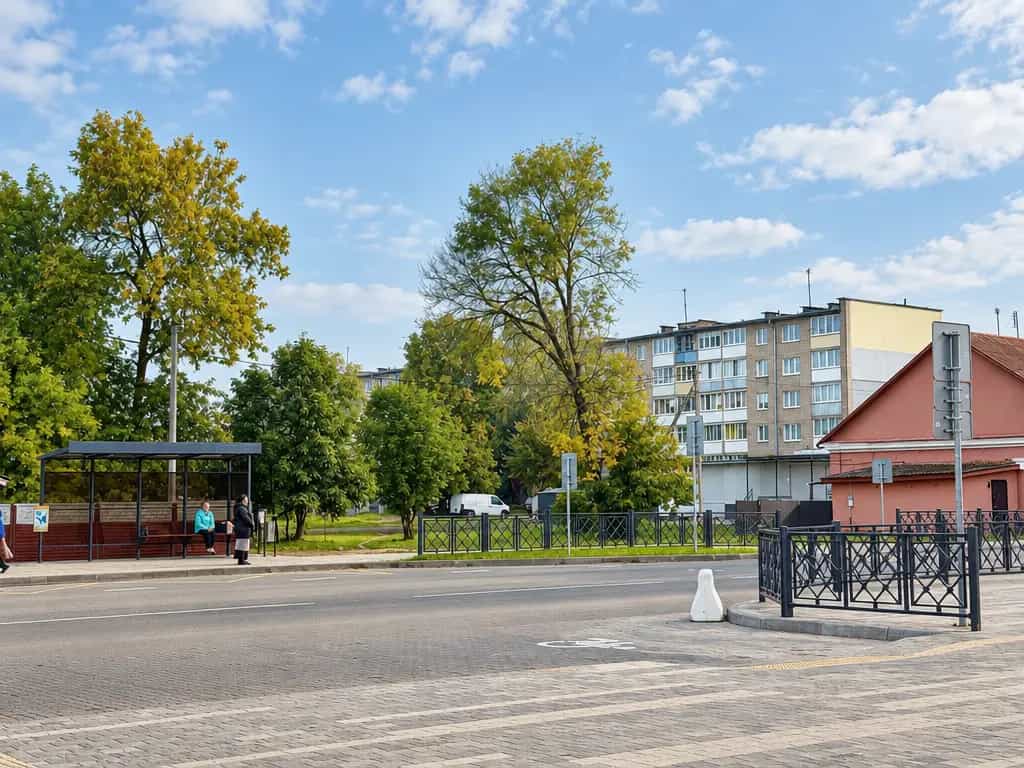 Беларусь, Минская область, Борисов, улица Дзержинского, 95, фото 24