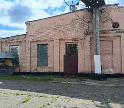 Беларусь, Могилёвская область, Кричев, улица Фрунзе, 2к1, фото 2