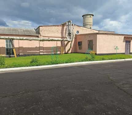 Беларусь, Могилёвская область, Кричев, улица Фрунзе, 2к1, фото 4