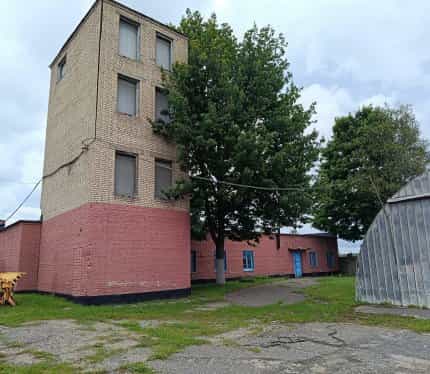 Беларусь, Могилёвская область, Кричев, улица Фрунзе, 2к1, фото 2