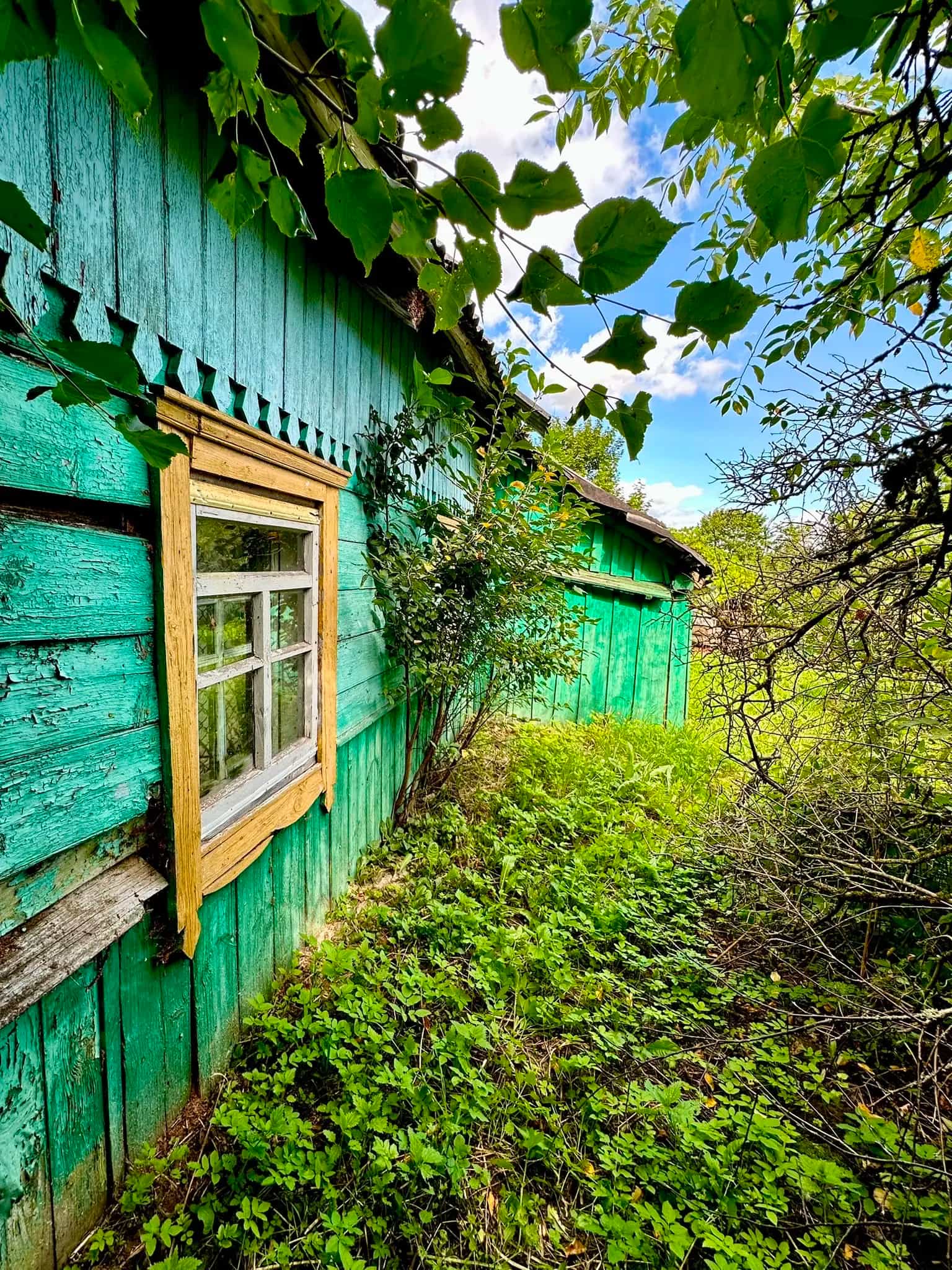 Беларусь, Витебская область, Оршанский район, Пищаловский сельсовет, деревня Гадовичи, Центральная улица, 35, фото 2