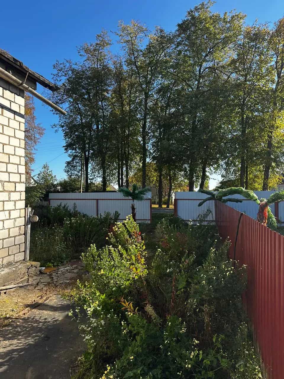 Беларусь, Гомельская область, Жлобинский район, агрогородок Малевичи, Садовая улица, 20, фото 3