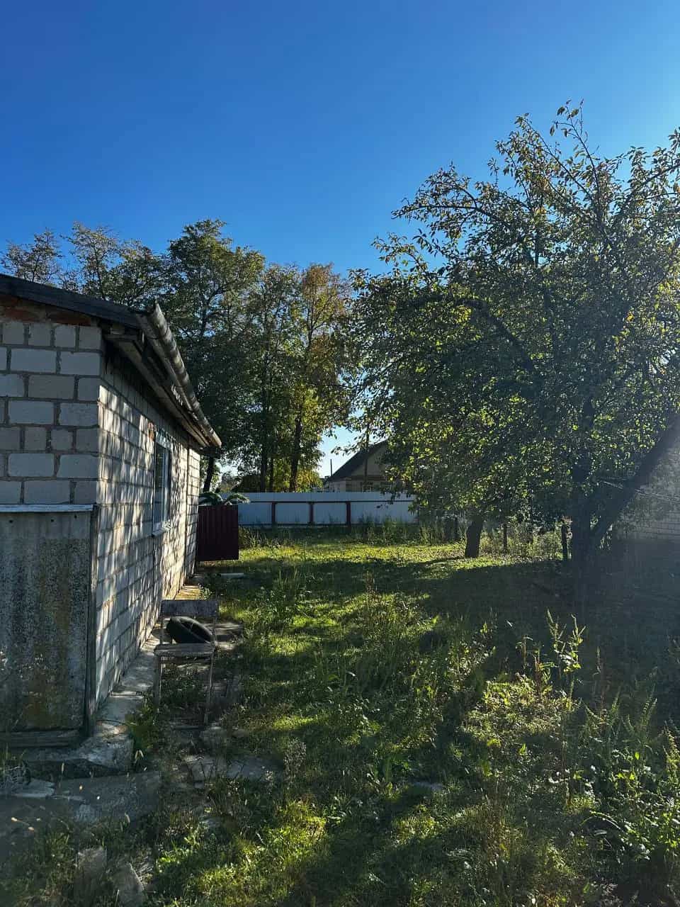Беларусь, Гомельская область, Жлобинский район, агрогородок Малевичи, Садовая улица, 20, фото 4