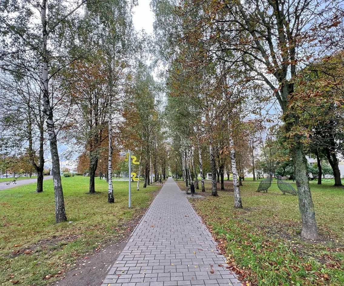 Беларусь, Минск, улица Голодеда, 17к1, фото 31