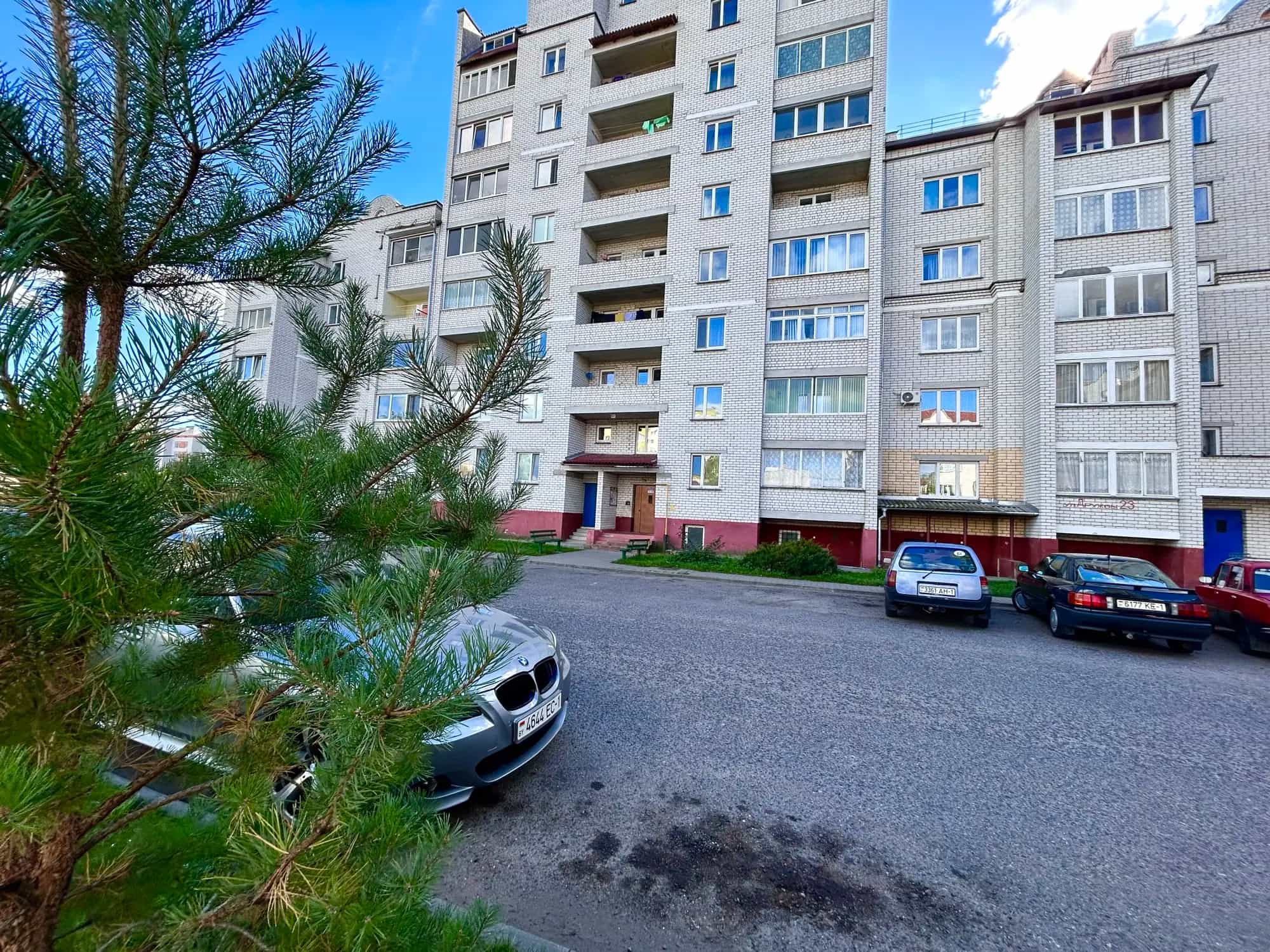 Беларусь, Брестская область, Кобрин, улица Дружбы, 137, фото 5