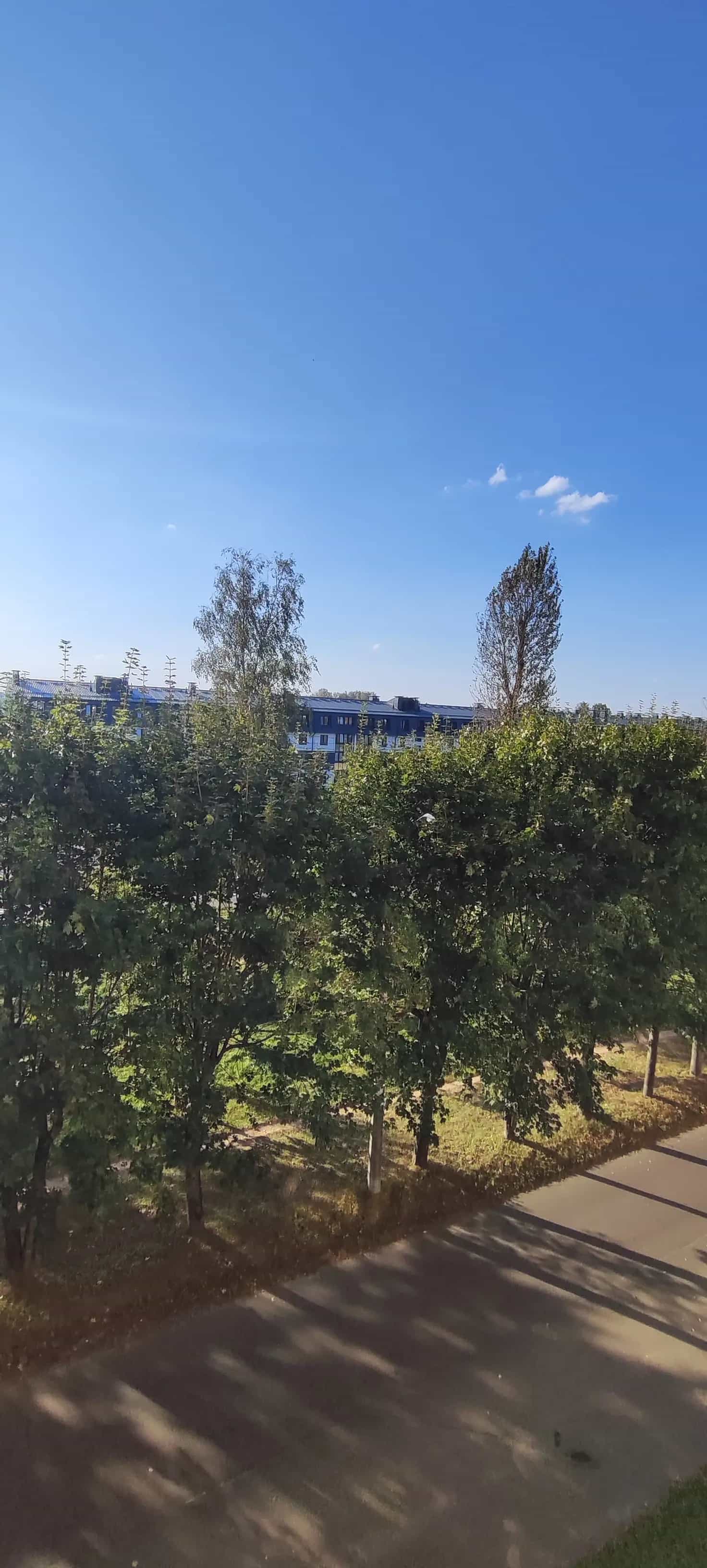 Беларусь, Минский район, Боровлянский сельсовет, агрогородок Лесной, Мирная улица, 8, фото 14