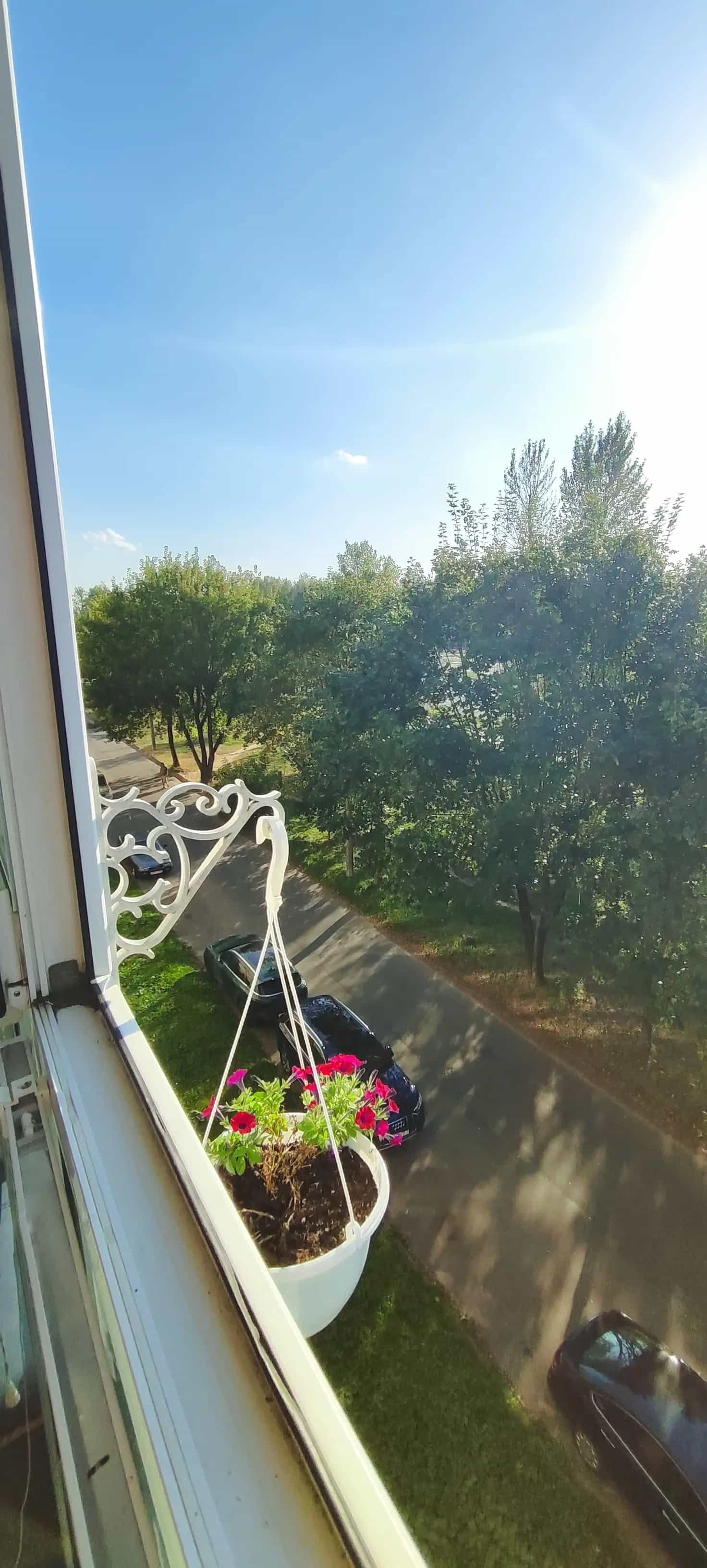 Беларусь, Минский район, Боровлянский сельсовет, агрогородок Лесной, Мирная улица, 8, фото 16