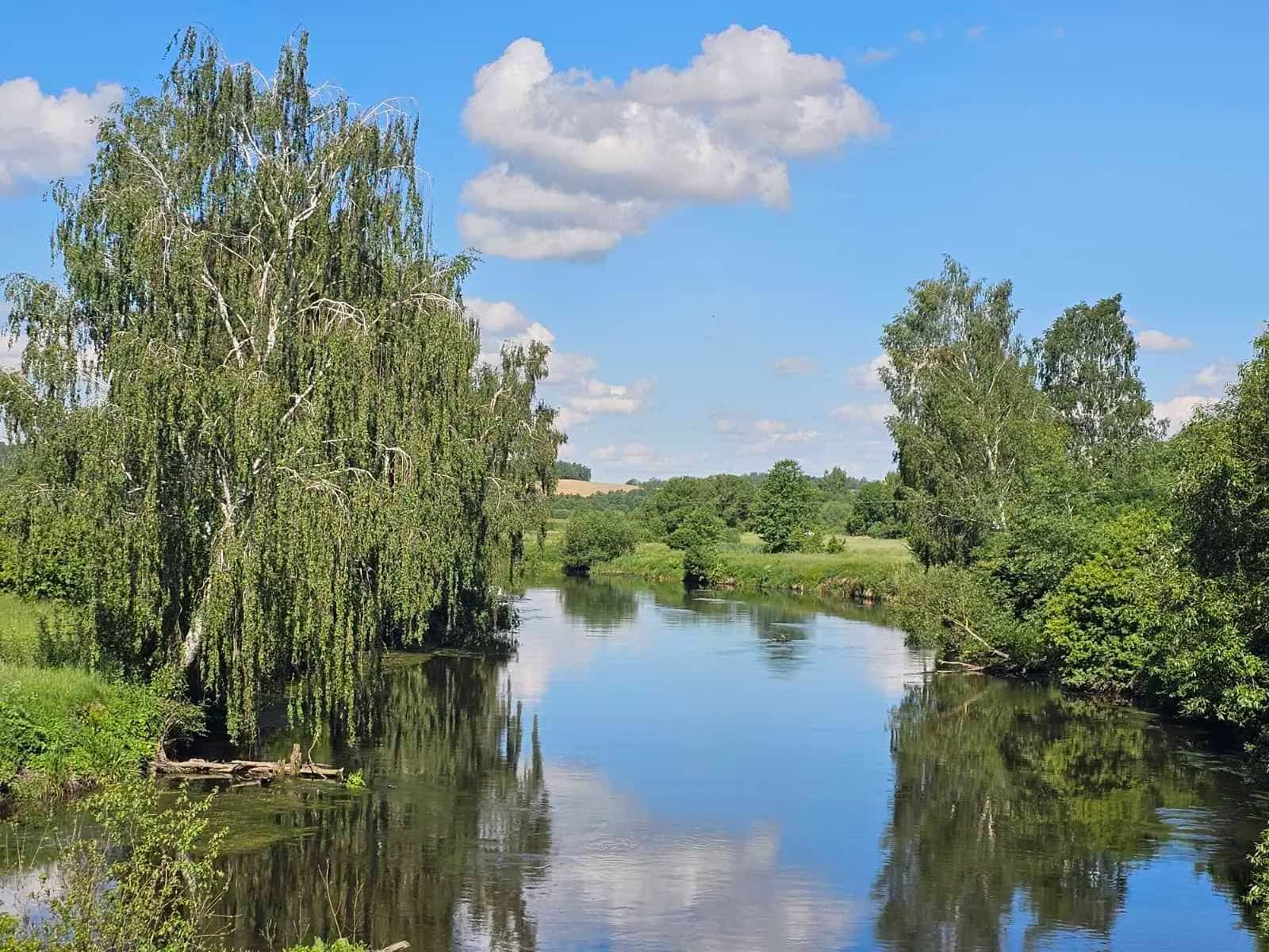 Беларусь, Минская область, Пуховичский район, Голоцкий сельсовет, деревня Лешница, Центральная улица, 173